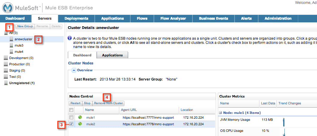 rem.cluster