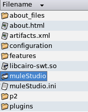 Studio+Path+-+Linux