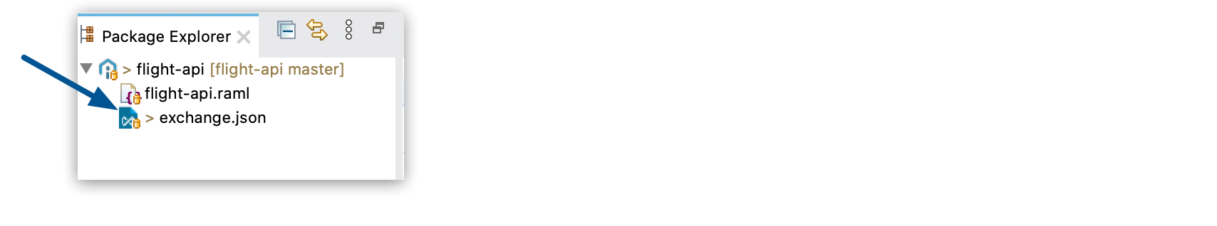 Exchange.json file shown in the Package explorer view