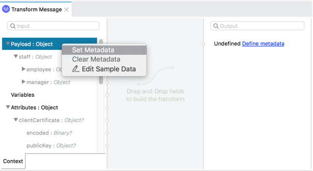 The set metadata option highlighted in a transform message component