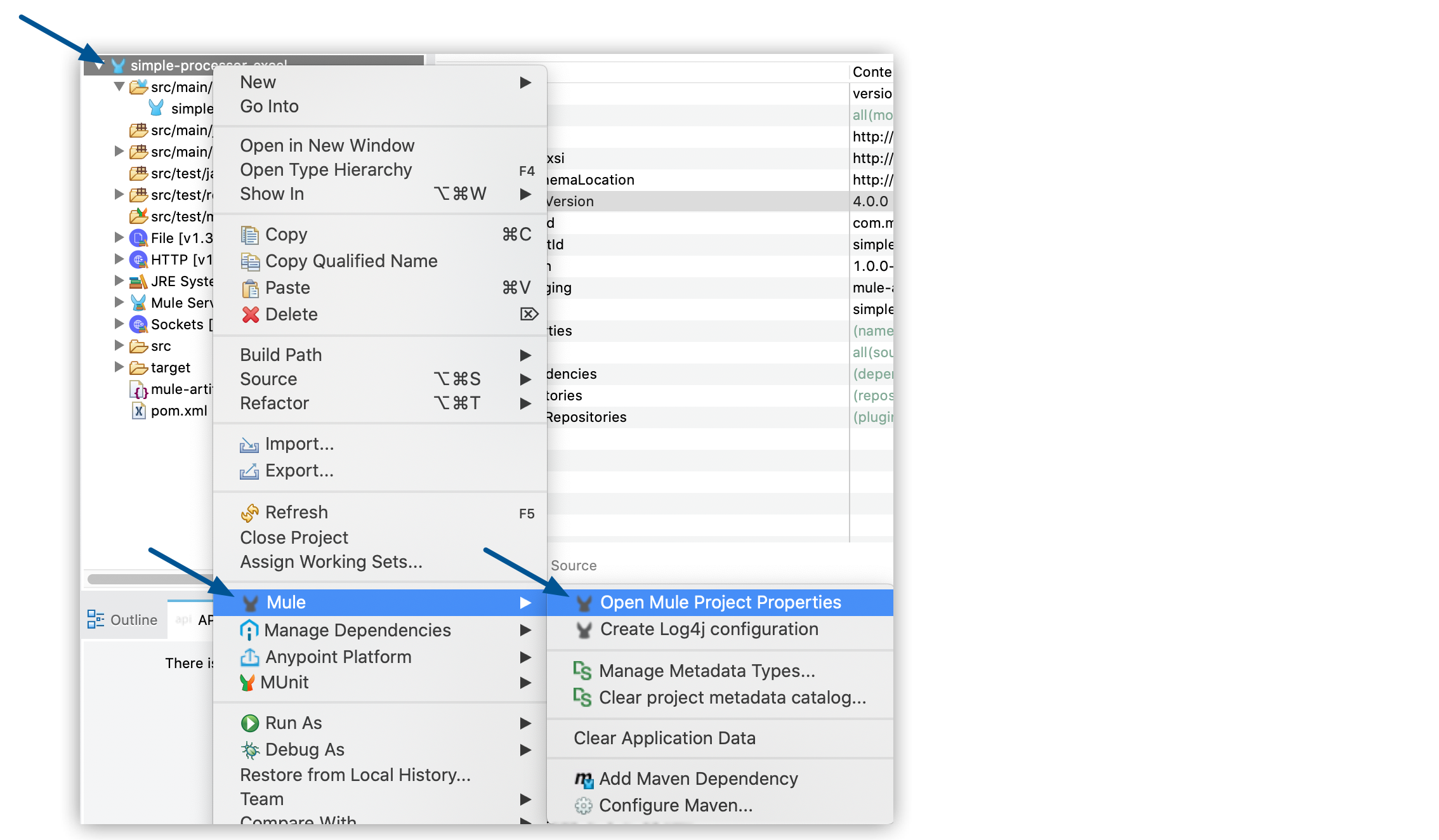 open mule project properties