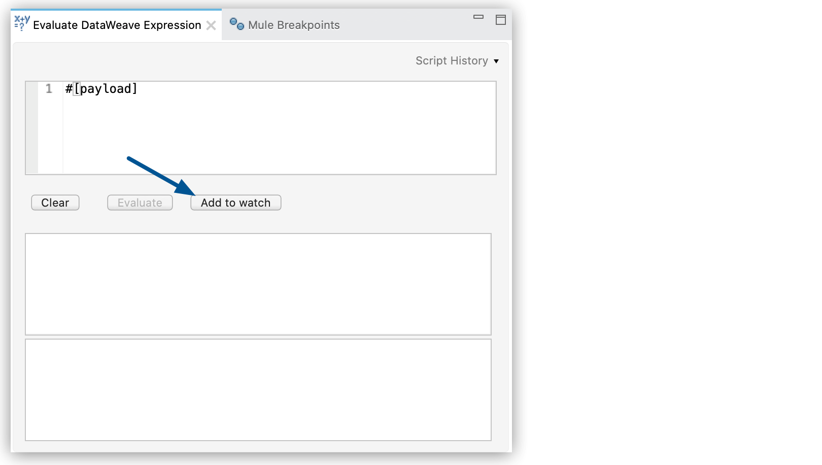 add dw expression watch