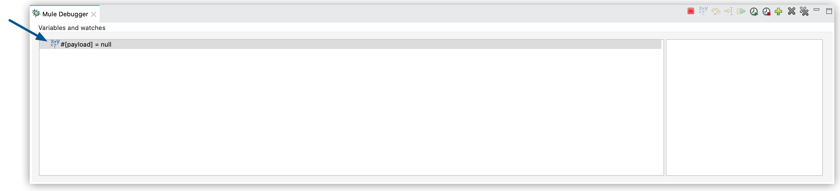 show expression watch